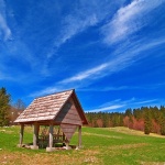 nature___Glade___National Park Risnjak, Croatia.