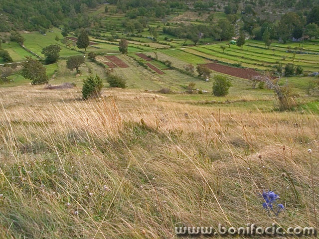 nature___Gardens___Razbojiste, Croatia.