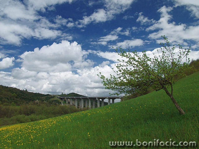 nature___Genuflexion___Josipdol, Croatia.