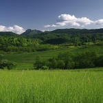 nature___Green Peace___Gomirje, Croatia.