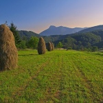 nature___Grossamer In Gorski Kotar___Ljubosina, Croatia.
