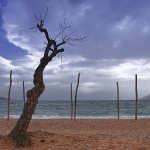 nature___Haircut___Baska, Croatia.