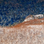 nature___Half - Half___Krasno, Croatia.