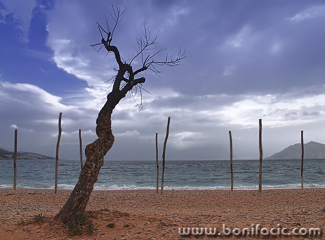 nature___Haircut___Baska, Croatia.