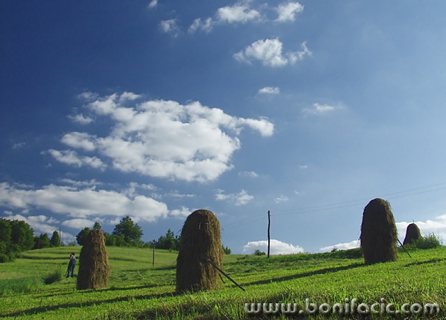 nature___Hayfield___Gomirje, Croatia.