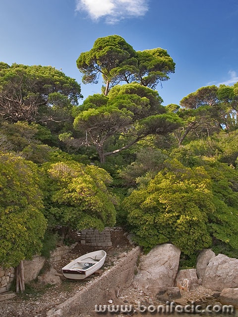 nature___High And Dry___Lokrum, Croatia.