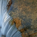 nature___Honor___National Park Plitvice, Croatia.