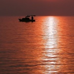 nature___Hot___Punat, Croatia.