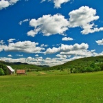 nature___House OnThe Filed___Krasno, Croatia.