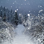 nature___Ice Bind___Licka Jesenica, Croatia.