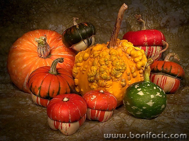 stilllife___Bros___