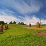 nature___In Summertime___Gomirje, Croatia.