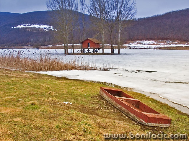 nature___In Standby Mode___Svica, Croatia.