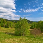 nature___It Is Spring___Gorski Kotar, Croatia.