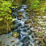 nature___Kamacnik___Vrbovsko, Croatia.