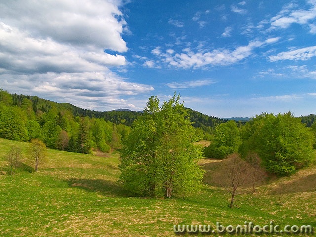 nature___It Is Spring___Gorski Kotar, Croatia.