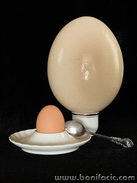 stilllife___Substantial Breakfast___