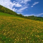 nature___Lea___Josipdol, Croatia.