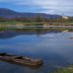 nature___Leach___Svica, Croatia.