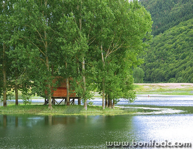 nature___Latency___Svica, Croatia.