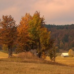 nature___Let Alone___Begovo Razdolje, Croatia.