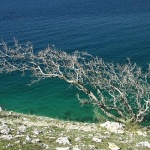 nature___Levantine Wind___Punat, Croatia.