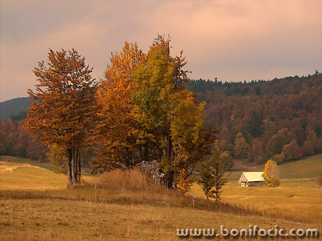 nature___Let Alone___Begovo Razdolje, Croatia.