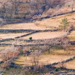 nature___Lot___Baska, Croatia.