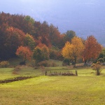 nature___Magical Wood___National Park Northern Velebit, Croatia.