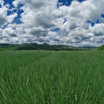 nature___Mak___Josipdol, Croatia.