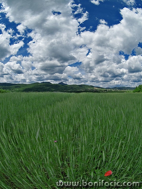 nature___Mak___Josipdol, Croatia.