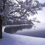 nature___Moonlight Serenade___Ogulin, Croatia.