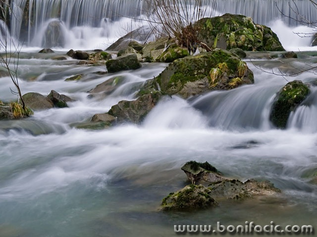 nature___MIxed___Cabar, Croatia.