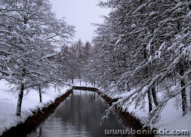 nature___Moon River___Fuzine, Croatia.