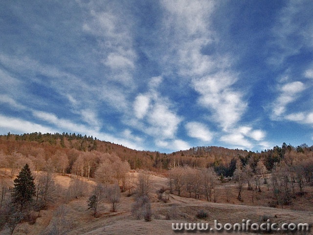 nature___Morning Light___Gorski Kotar, Croatia.