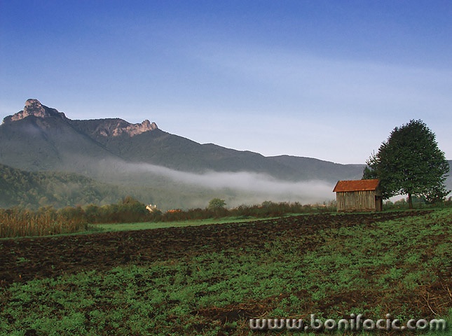 nature___Morning Mist___Ogulin, Croatia.