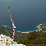 nature___Mountaineer___Lubenice, Croatia.