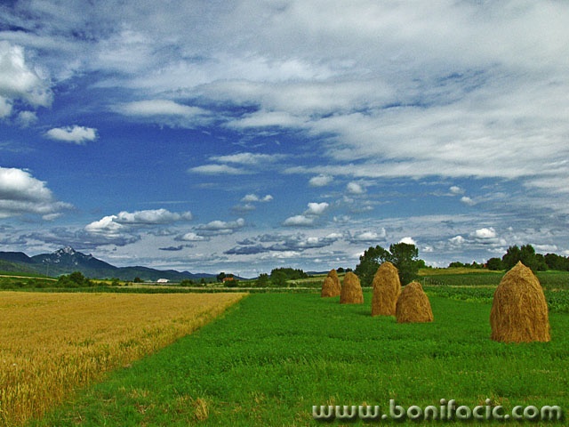 nature___Mowes___Skradnik, Croatia.