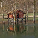 nature___Nix___Svica, Croatia.