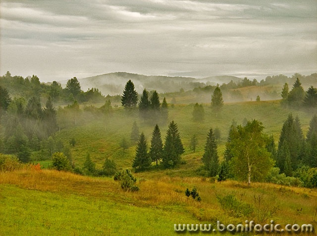 nature___Nebula___Ljubosina, Croatia.