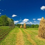 nature___Old Fashioned___Gomirje, Croatia.