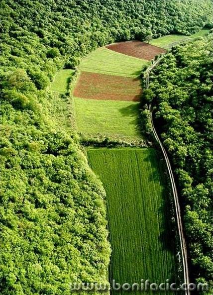 nature___One Day I'll Fly Away___Limska Draga, Croatia.