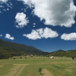 nature___One Tree___Krasno, Croatia.