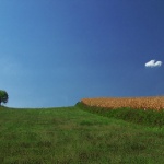 nature___Opposition___Kordun, Croatia.