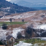 nature___Panettone___Vrbovsko, Croatia.