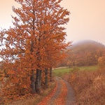 nature___Pathway___Bjelolasica, Croatia.