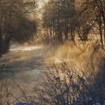 nature___Perspire___Luke, Croatia.