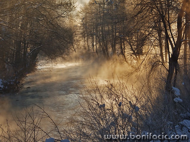 nature___Perspire___Luke, Croatia.