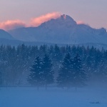 nature___Pinky Shawl___Ostarije, Croatia.