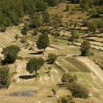 nature___Plowed Land___Razbojiste, Croatia.
